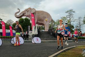 BIB: 
                            <button type="button" onclick="openModal(26528517)" class="btn btn-primary btn-sm float-right btn-popup" data-toggle="modal" data-target=".modal-high-quality">
                        <i class="fas fa-shopping-cart"></i> Add to Cart
                    </button>
                                            <button type="button" onclick="isThisMe(26528517, true)" class="btn btn-success btn-sm float-right btn-popup btn-isme hidden" data-toggle="tooltip" data-placement="bottom" title="นี่คือรูปของคุณใช่ไหม คลิกที่นี่เพื่อเอาเข้าอัลบั้ม">
                        <i class="fas fa-plus"></i> Add to album
                    </button>
                    <button type="button" onclick="isThisMe(26528517, false)" class="btn btn-warning btn-sm float-right btn-popup btn-isnotme hidden">
                        <i class="fas fa-ban"></i> Remove from album
                    </button>